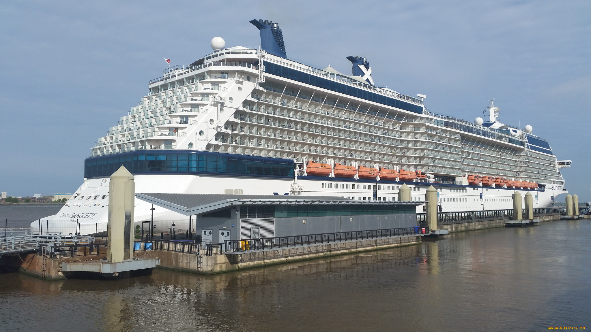 celebrity silhouette, , , , , , 
